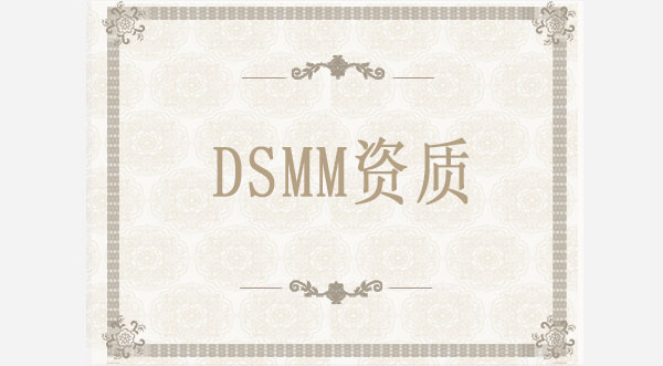 DSMM数据安全能力成熟度模型